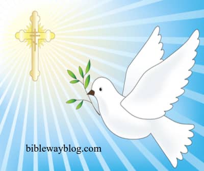 Picture of a dove which represents the Holy Spirit who is the token of our inheritance