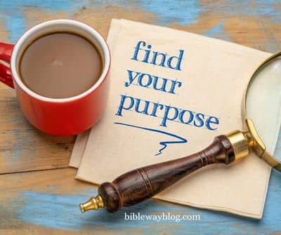 God Has Given Us a Relevant Purpose in Life - The Bible-Way Blog