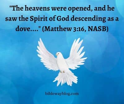 Three Indispensable Works of the Holy Spirit - The Bible-Way Blog